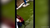 以为都是王者！原来是青铜 这样的运动还是不要轻易玩了