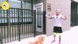 狗狗和猫咪总是独自偷偷溜进婴儿房,女主人看到这一幕好温馨!