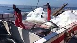 日本海外捕鱼现场，这刚抓上来就冰冻了