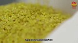 韭菜和它一起吃，堪称“天然肾宝片”，常吃增强肾动力