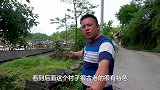 湖南湘西芷耳村，一个四面环山的古村落，让人羡慕的世外桃源