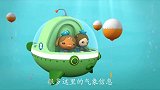 海底小纵队第二季：章鱼浮冰的作用，为何能收集气象信息