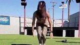 豹纹妹子疯狂健身训练 这肌肉线条清晰分明
