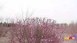 认铠甲勇士得终极技能，阿宝PK二浪，谁是最强答题王？
