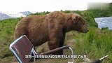 男子钓鱼时突然来了一只熊，很有礼貌的坐在他旁边看他钓鱼