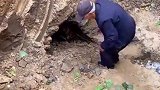 工地施工挖到古代墓穴，专家考察后惊呼遗失的文物终于找到了！