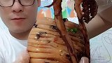 吃货吃大鱿鱼，鲜香美味太有食欲了！