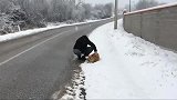 幸运的流浪狗：大雪弥漫中被好心人收留