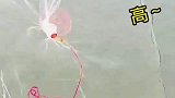 捕鱼神操作，这一网太厉害了，这么多鱼