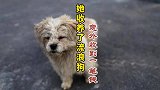 她收养了一只流浪狗，却意外收到4850元