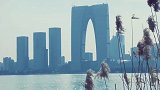 在春风里摇曳着的的那一抹萧瑟，是在期待着春天的眷顾吗