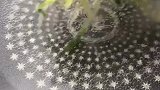 这样做的大包子，拿肉包子我都不换，真的是太好吃了