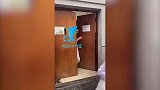 赵露思遇男粉丝再度吹彩虹屁表白，本尊一脸嫌弃：怎么又是你！