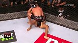 UFC-15年-UFC Fight Night 62：轻量级伯恩斯vs奥利维拉集锦-精华