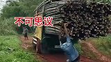 小伙拽翻货车