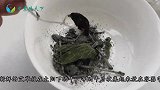 艾草烧灰抹脚上太厉害了，一年省下不少钱，可惜才学会，回家试试