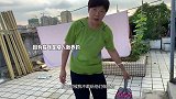 再去天台，见证史上最渣的奶牛猫，叫你“海王”都不为过！