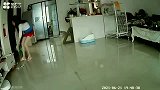 猫咪一句对不起就完事了吗，没几包小鱼干是不可能原谅的
