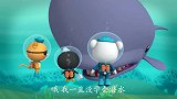 海底小纵队：皮医生成为老师，教导抹香鲸潜水，结果却处处碰壁