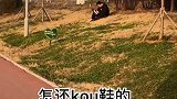 大家看到最后吧，有亮点！