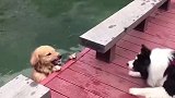 这真是看热闹的不嫌事大