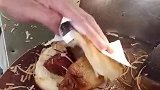 这才是正宗的肉夹馍