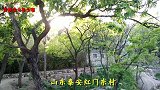 罕见！皇帝竟给骡子立碑，山东留下千古之谜