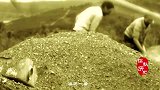 云南山村一块地里不断冒水，农民好奇挖开，发现一座“青铜房子”