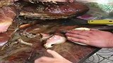这老板卖的肉夹馍，和平时吃的不一样！这可是真正的老腊肉！
