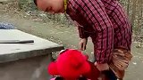 大公鸡：熊孩子快救我，不然以后没人陪你玩儿了！