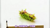 你们经历过这些童年的美好回忆吗，哈哈哈