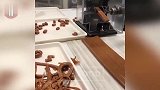 全自动食品加工机械设备,这流水线加工让人看起来超过瘾