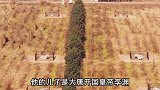 兴宁陵，唐开国皇帝李渊的父亲李昞墓！