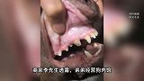 商家直播生拆狗牙引众怒，下单就现场拿工具剔：剩下的狗肉还要卖