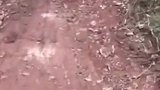 一顿操作猛如虎，结果尴尬了！网友：神车的名称被你给毁了