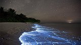 世界上最亮的荧光海：全年都会发光，已经存在将近4个世纪！
