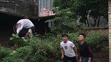 这是个什么情况，你们发现什么了吗