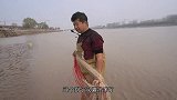 小伙黄河一网拖上大鲤鱼真激动，随后一网大冒泡，大甲鱼也上来了