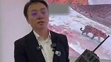 “美丽中国行”之六虎同框的珍贵瞬间从何而来？