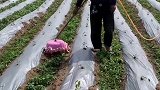 只要思想不滑坡