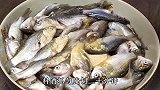 炸小鱼到底是用面粉还是淀粉，试试这个做法你就知道了