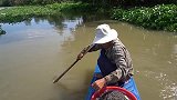 农人捕鱼，将挂有鱼钩的八百米绳子抛入河中，你猜能收获多少鱼？