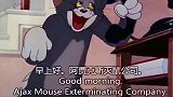猫和老鼠：请的是专业抓老鼠的吗？还不如汤姆呢哈哈