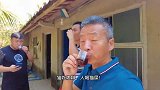 猫吃咖啡，人喝猫屎。亲历猫屎咖啡生产过程。