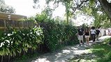 街头恶作剧，伪装成植物恶搞路人，路人非常惊讶