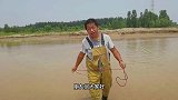 黄河退水突遇大甲鱼钻泥，小伙现场实拍：太稀奇了，够猛抓不住