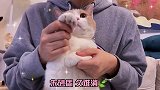 人们常把寄予希望的那个人叫做白月光✨黄桃不是猫 手势舞   白月光遇上朱砂痣 原创  白月光与朱砂痣