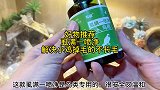 小鸡禿背最烦恼了