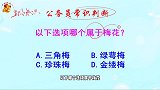公务员常识判断，以下哪个选项属于梅花？难倒了学霸