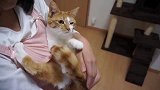 姐姐抱猫咪却被嫌弃，小爪子乱蹬，弟弟抱就立马温顺了